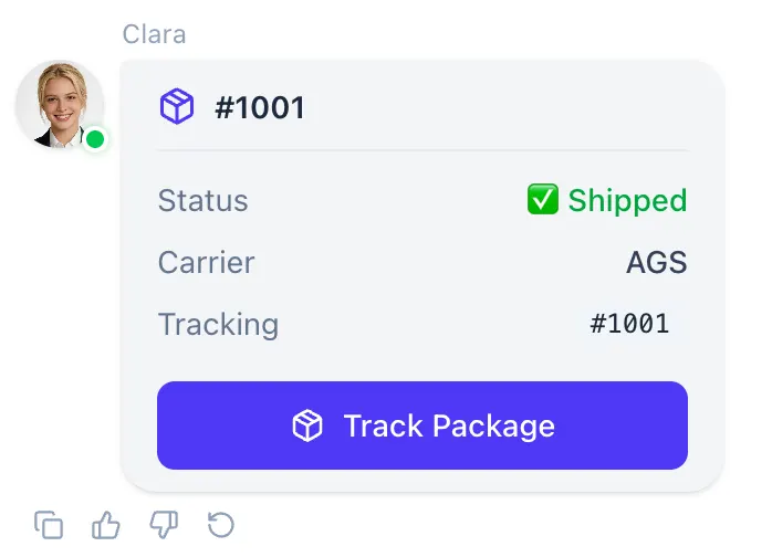 ecommerce AI customer support Shopify order tracking result